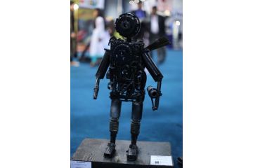 PAPS-2013-Art-Competition