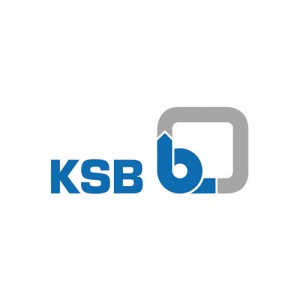 K.S.B. Pumps Company Ltd.